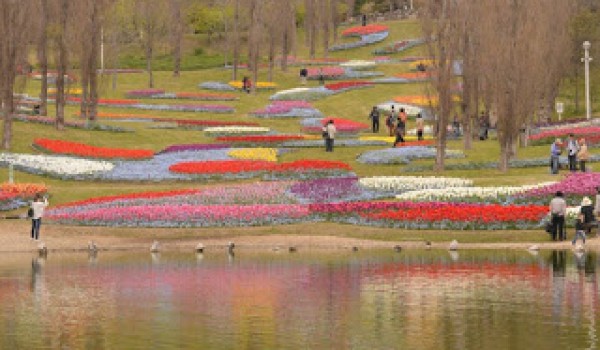 Vườn hoa đẹp ở tỉnh Hyogo